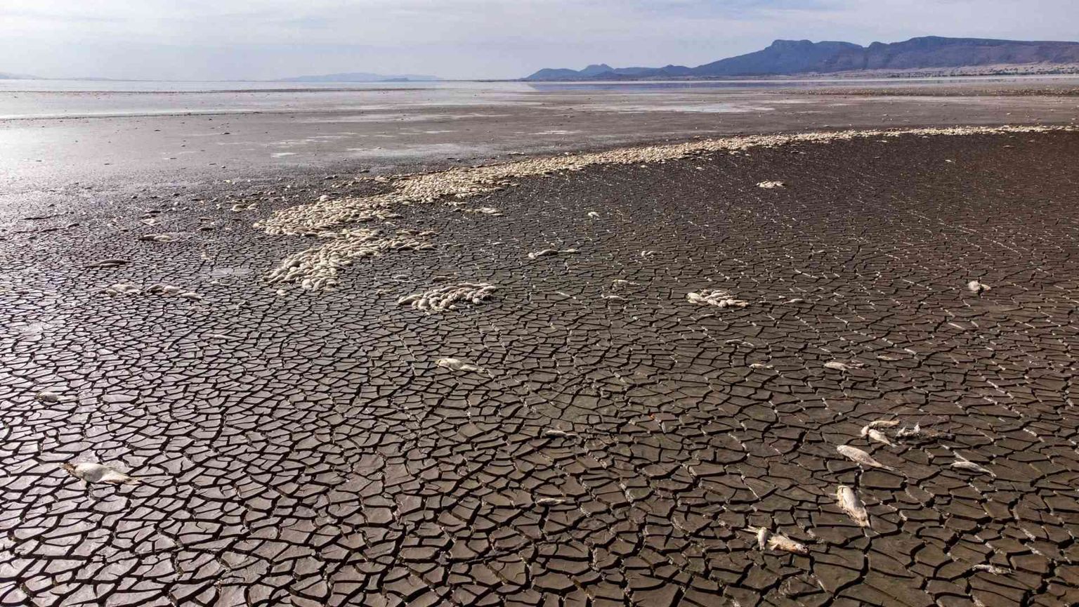 Sostenibilità, il mondo in ritardo