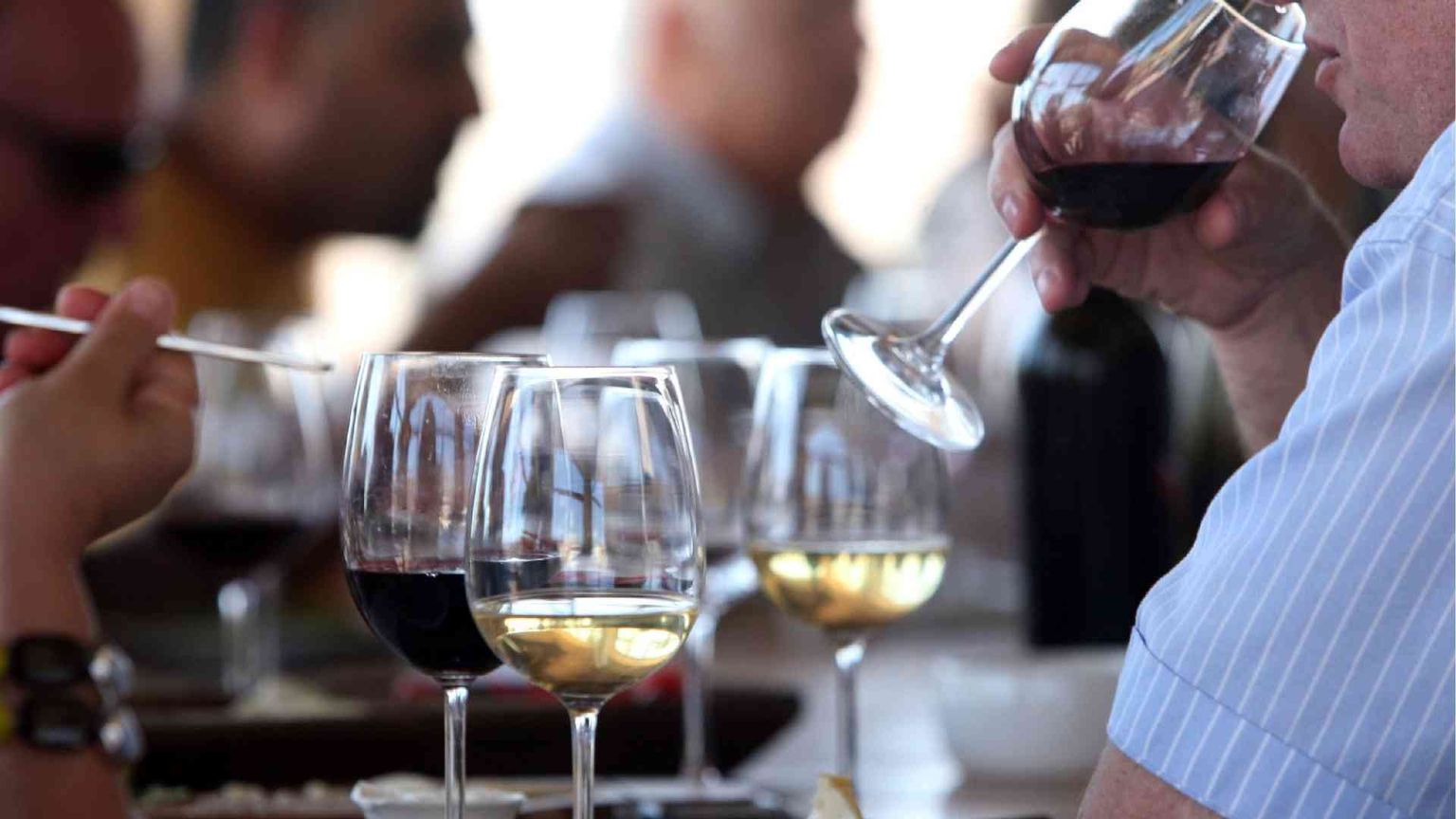 Il vino siciliano è diventato grande e spinge l'economia dell'isola