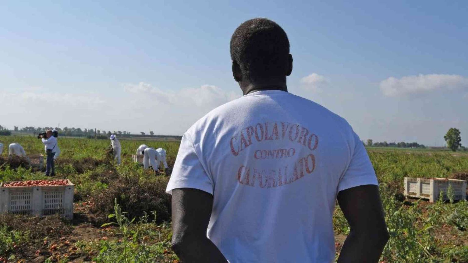 Nei campi dell'Agro Pontino c'è un esercito di lavoratori fantasma