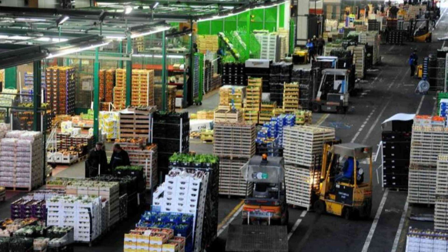 Il caporalato arriva in tavola: così resiste la filiera del cibo senza regole