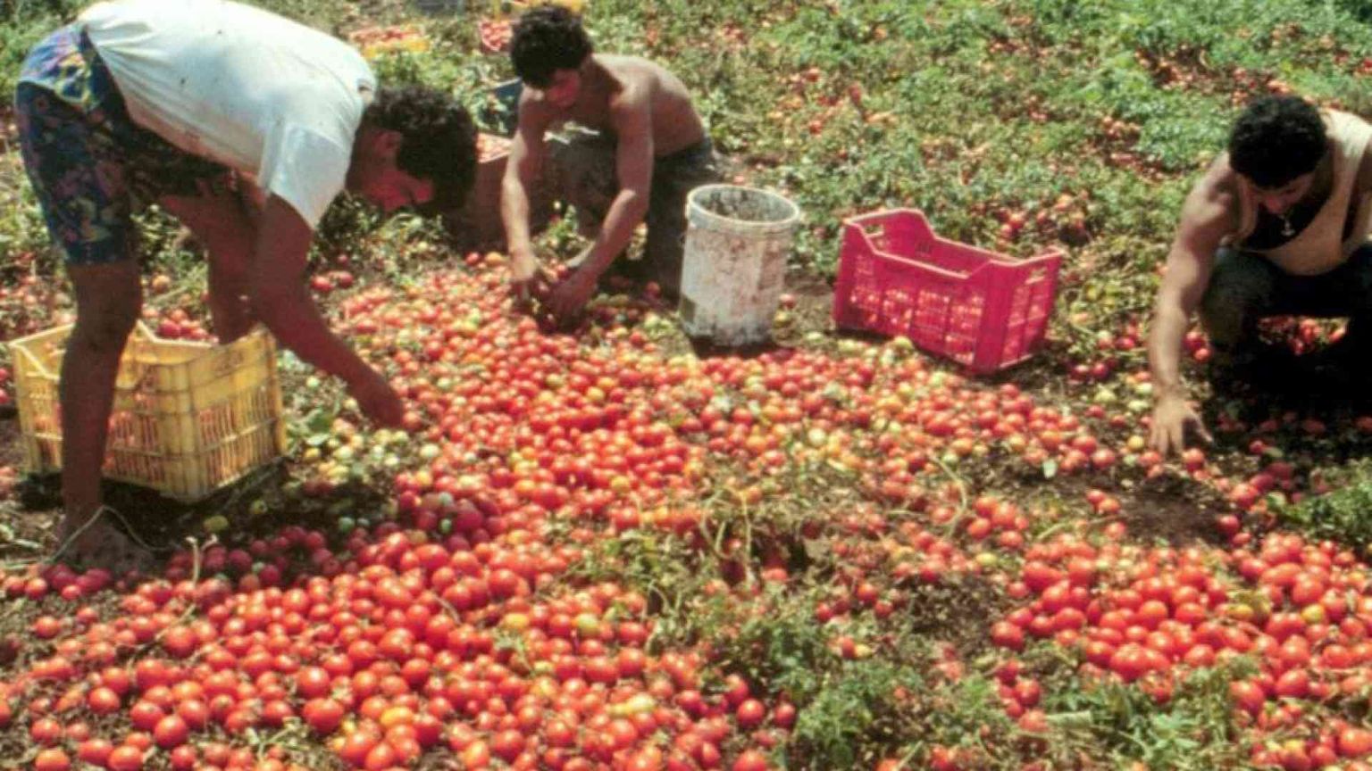 Satnam e gli altri: quei braccianti feriti e non soccorsi