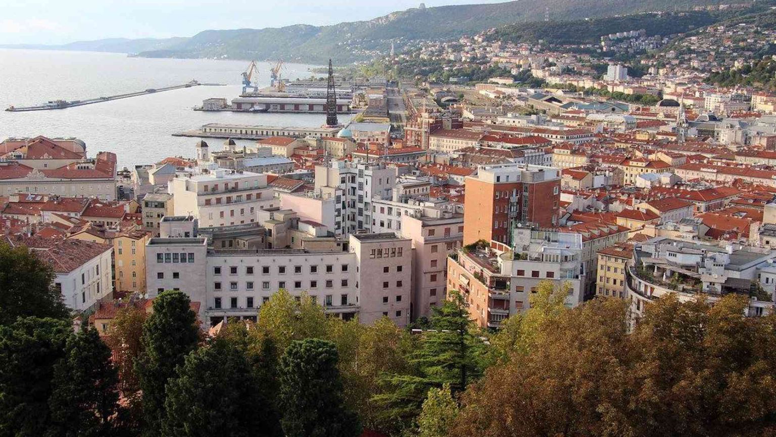 In campo a Trieste anche gli economisti della Cattolica