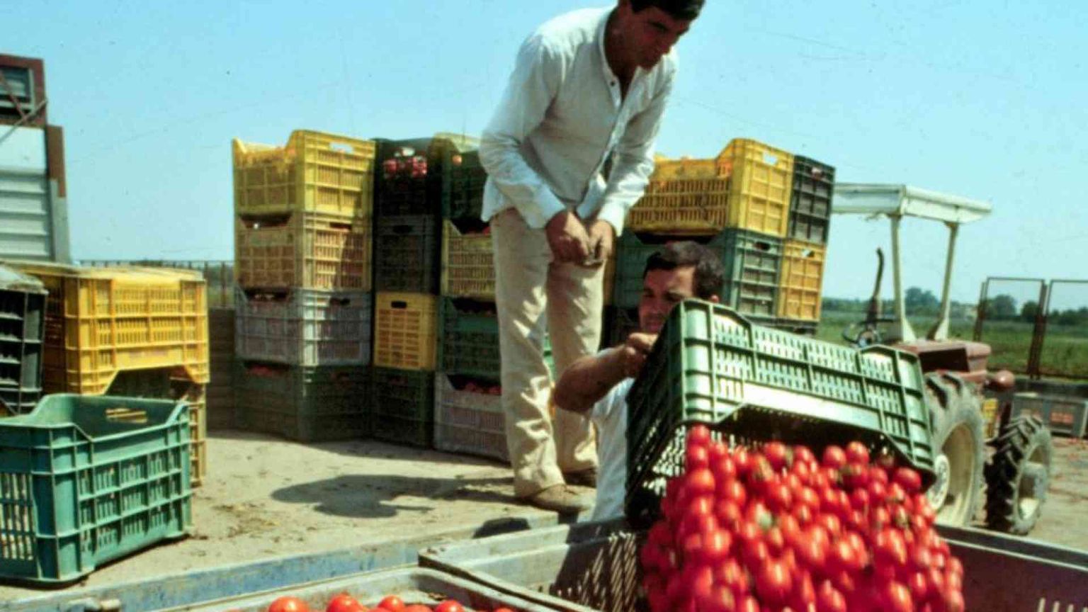 Decenni di promesse tradite nella lotta al caporalato in agricoltura