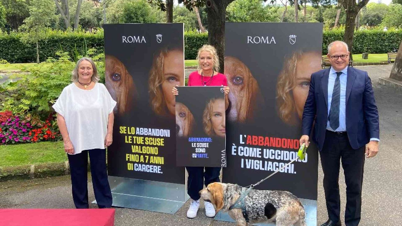 "Le scuse sono finite": il Campidoglio contro l'abbandono degli animali