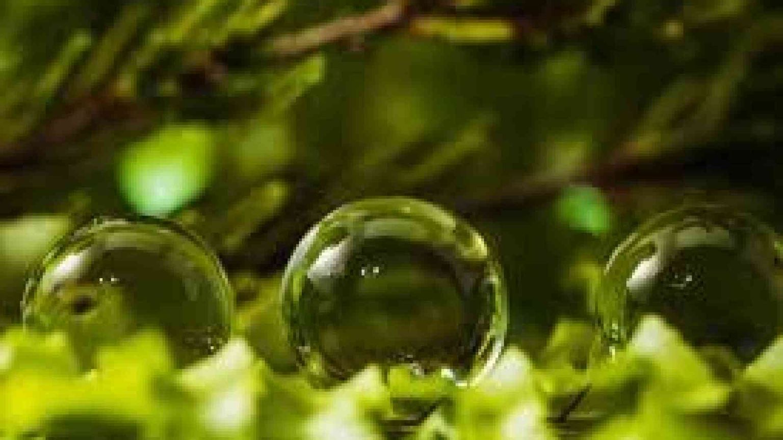 Green Deal alla prova della nuova Ue