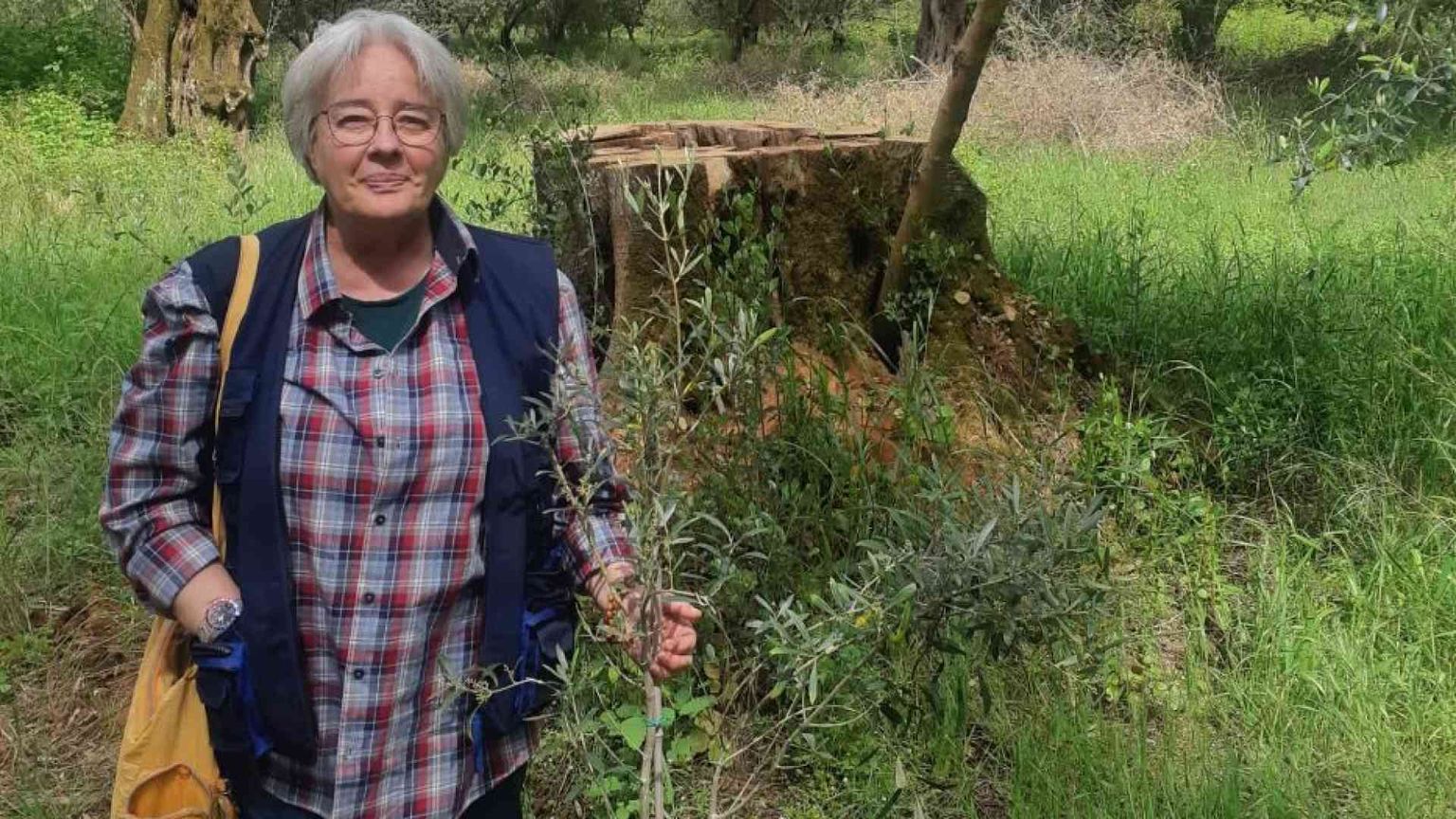 Quelle minacce all'imprenditrice agricola