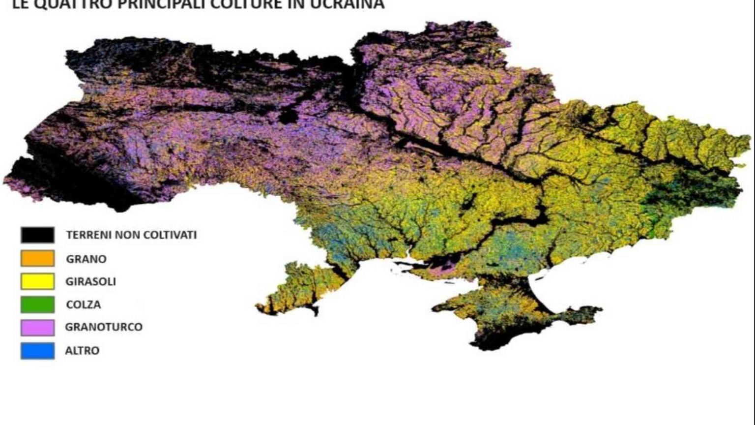 La guerra ha svuotato il granaio d’Europa: Ucraina, perso un quinto dei terreni