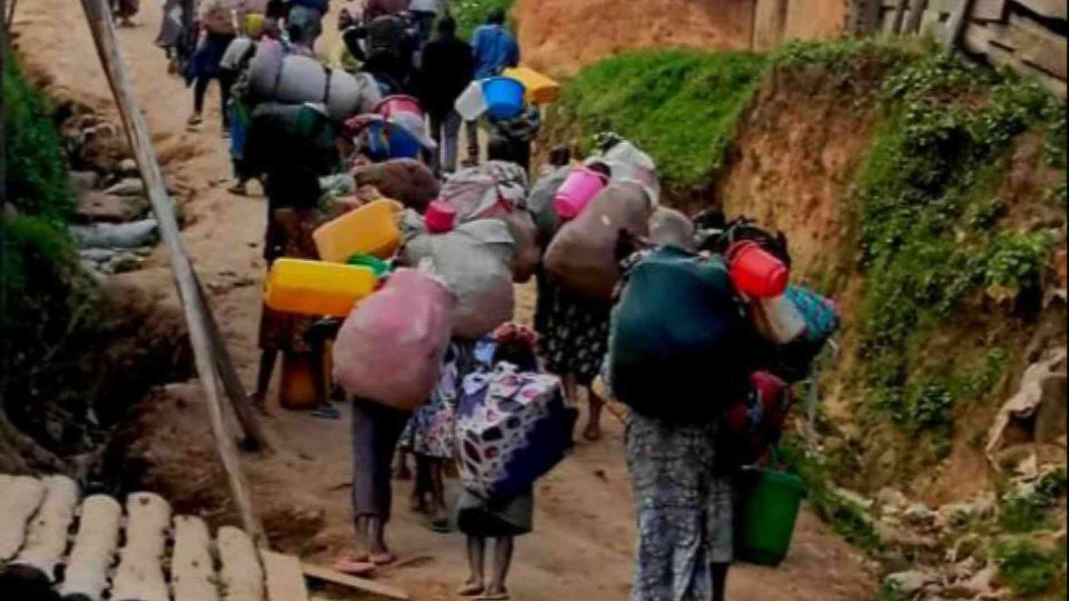 In Congo il cacao è il nuovo oro. Massacri per rubare il raccolto