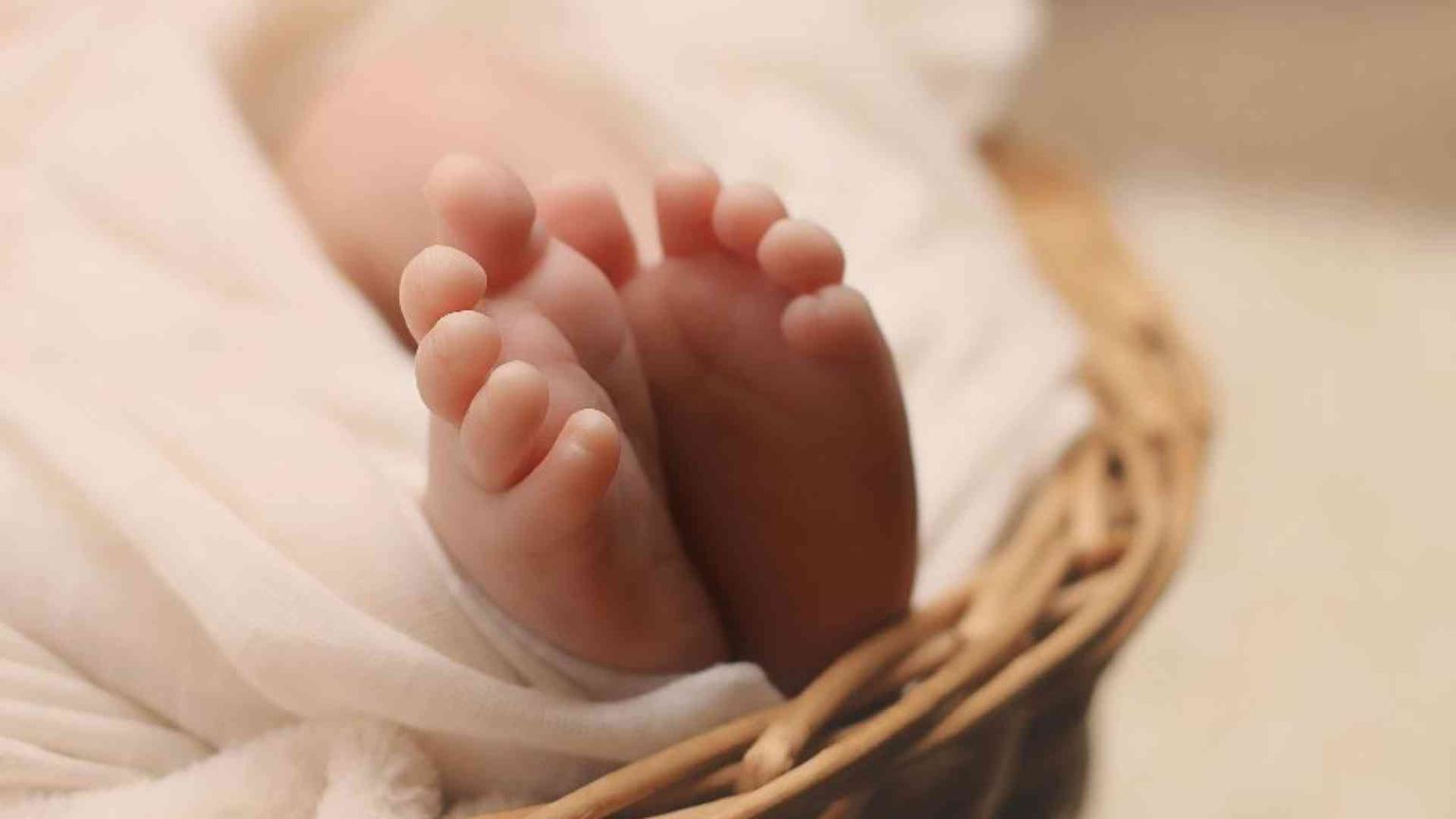 Da “Progetto Gemma” a “Vita nascente”: così si previene l’aborto