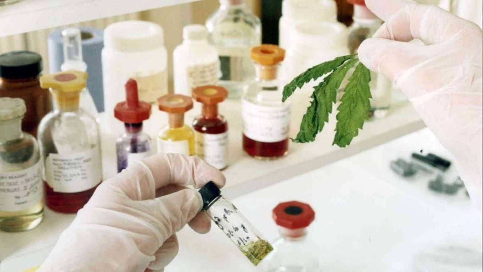 Il Cbd è una sostanza stupefacente e d'ora in poi sarà venduto solo in farmacia