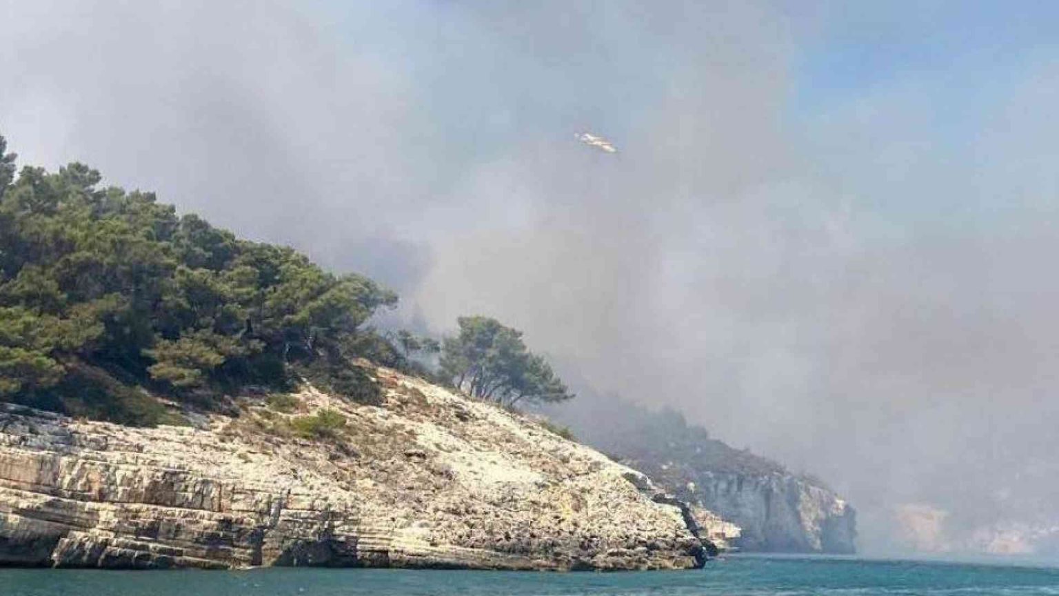 Vieste, domato l'incendio. "Rogo doloso"