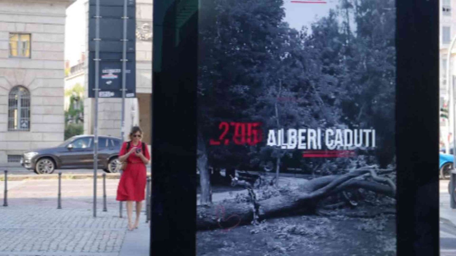 Un anno dopo la tempesta Milano ha “ritrovato” 5mila alberi