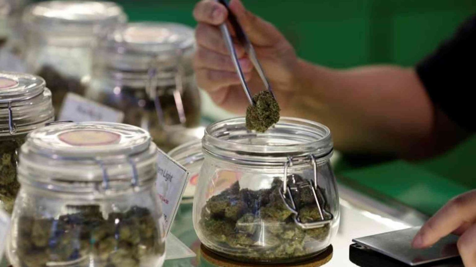 Verso regole più rigide per la vendita e la coltivazione della cannabis «light»