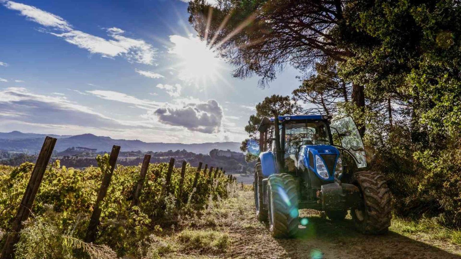 Le belle storie di chi torna in Italia a fare impresa