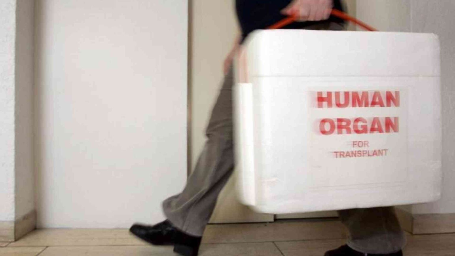 Trapianti di organi e donazioni: Italia da record