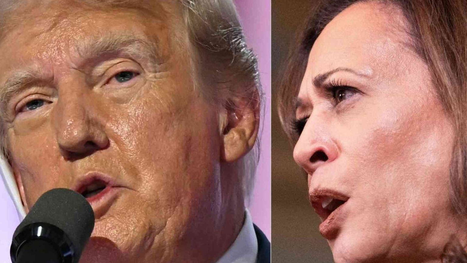 Secondo i sondaggi Kamala Harris è avanti 6 punti, Trump è più nervoso