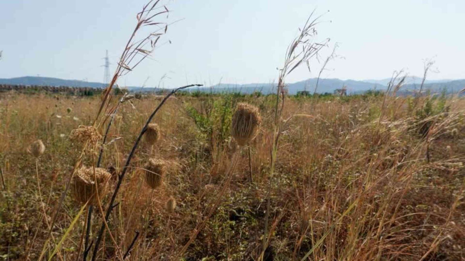 In Puglia acqua con il contagocce dai rubinetti e per i campi agricoli