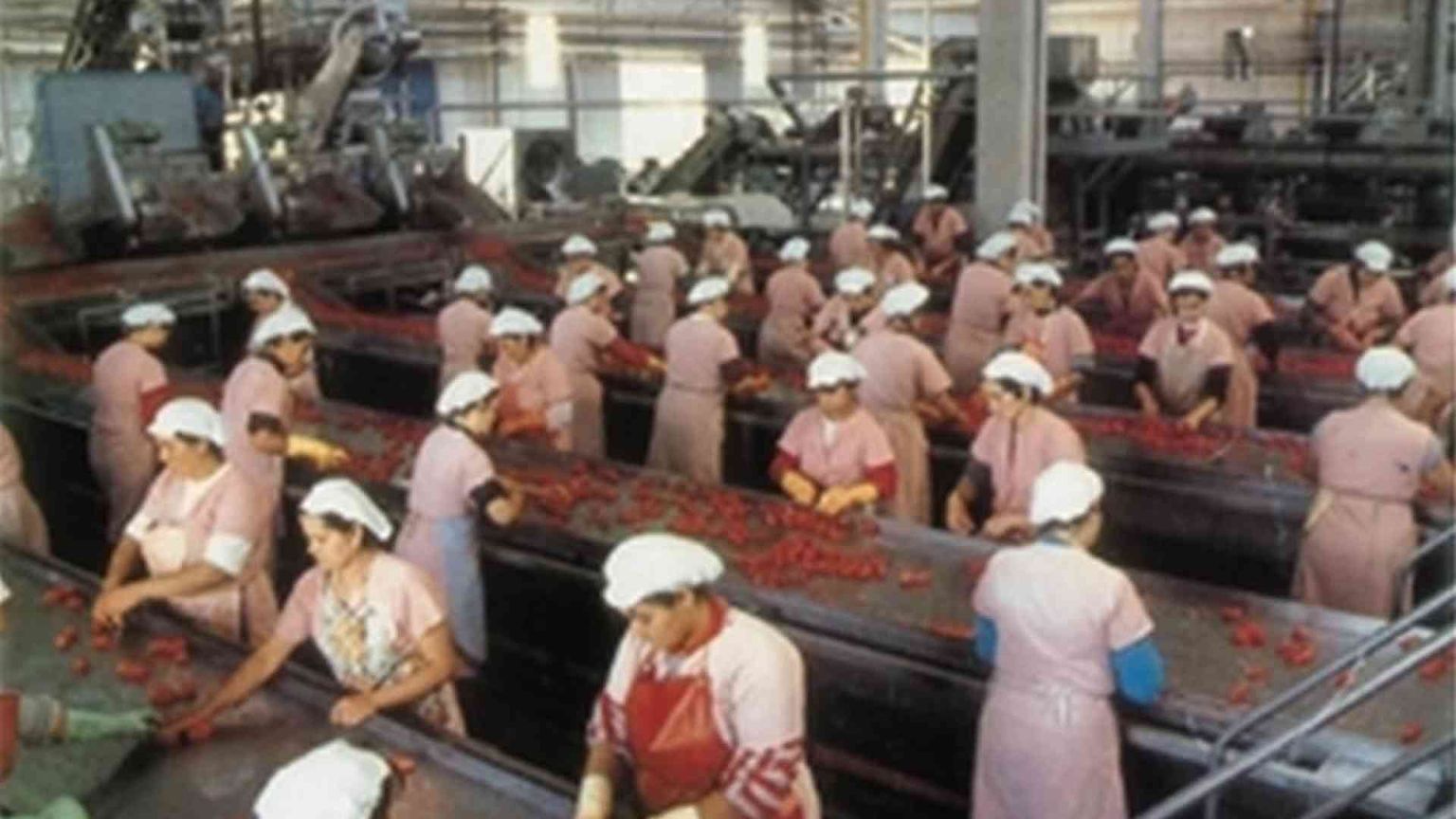 Assunzioni in crescita ad agosto