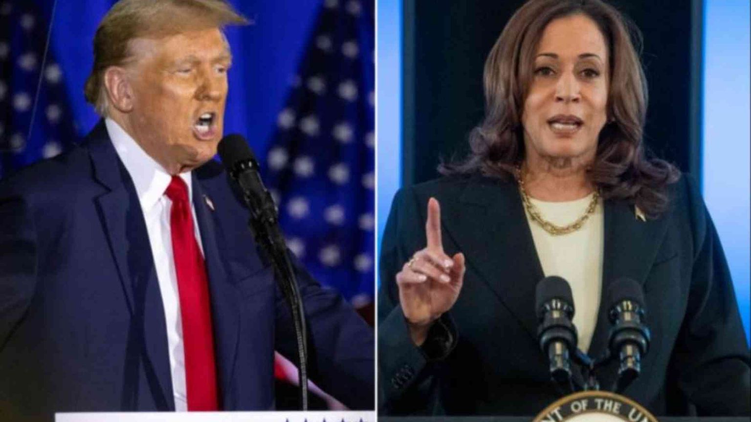 Trump per risalire punta sulle "fake"