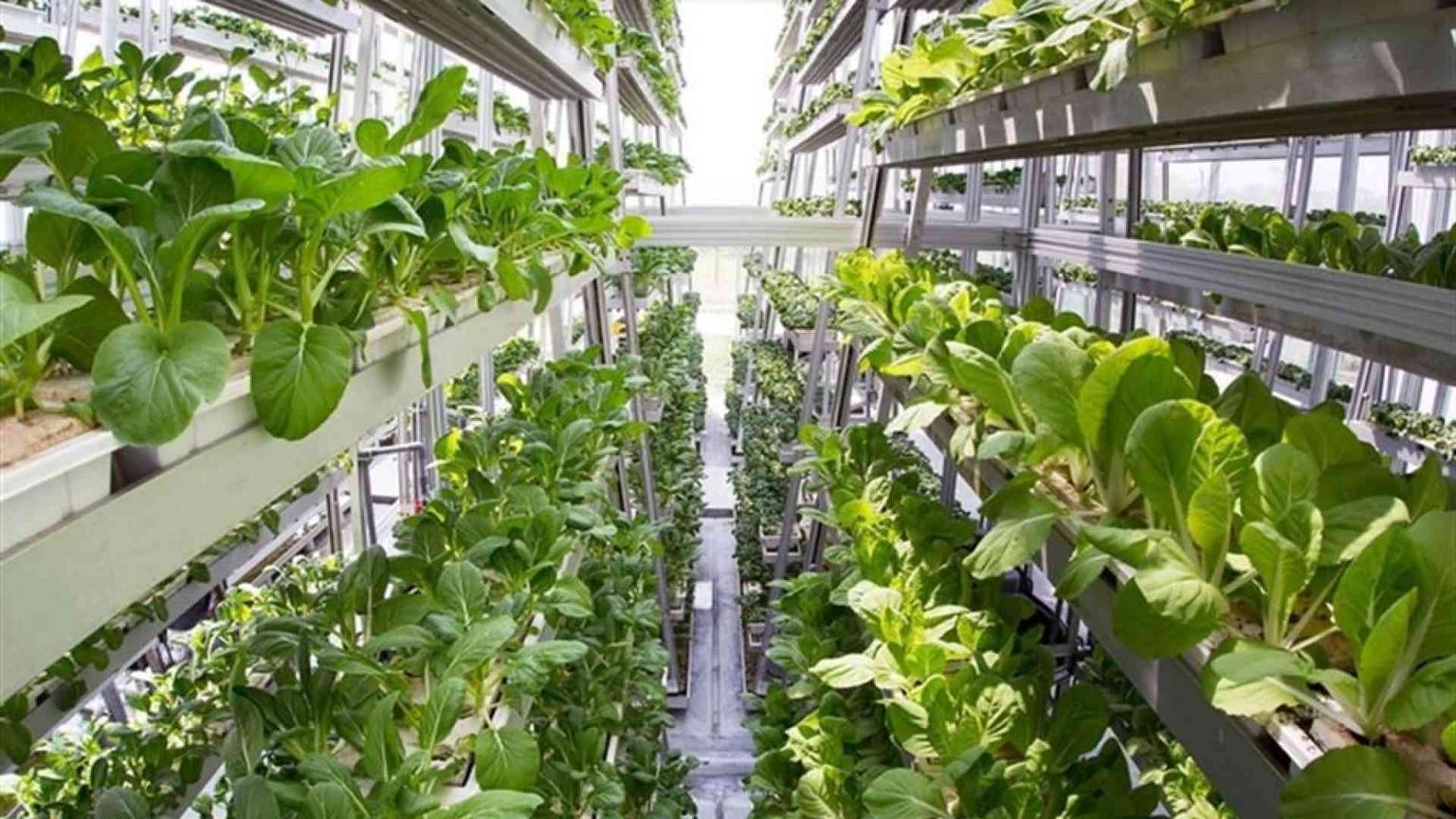 Bioeconomia in crescita, in Italia vale 437 miliardi di euro