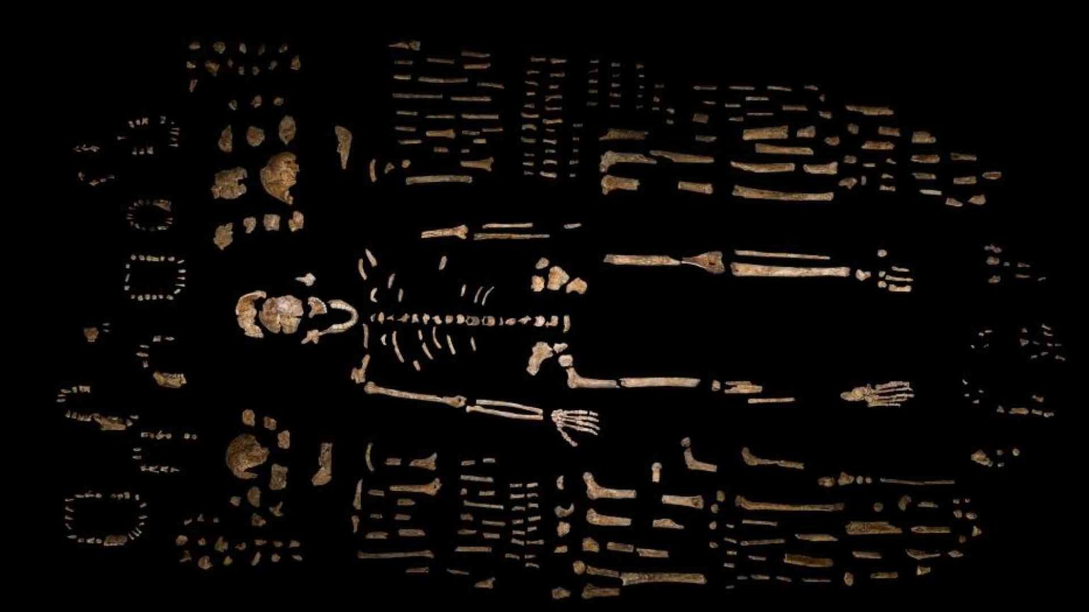 Homo Naledi: una nuova ricerca smonta la tesi sulle sepolture