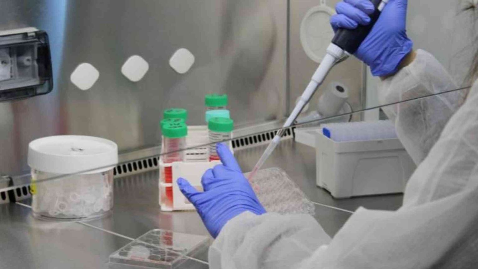 Le mani sulla vita, in quello studio la fecondità diventava commercio