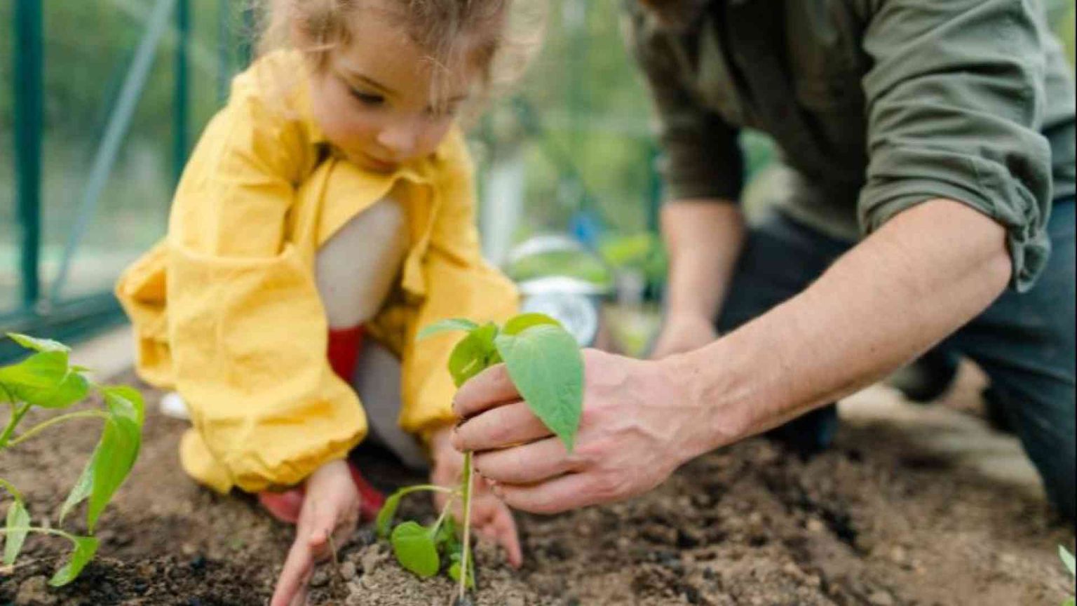 Riecco la Giornata del Creato: ascoltiamo l'Sos del pianeta