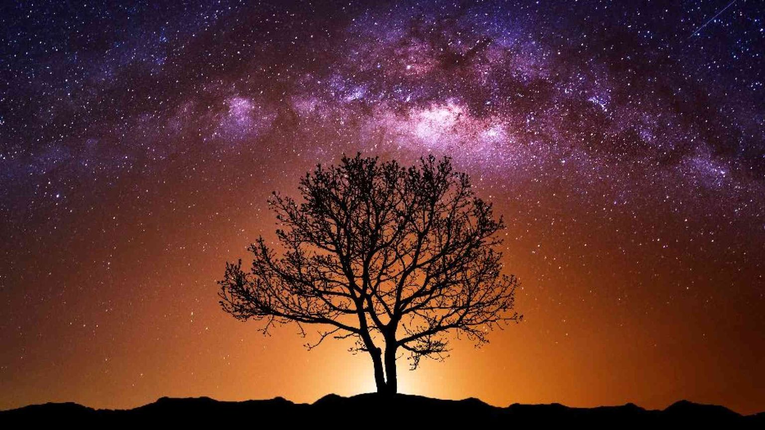 La preghiera è scuola di bellezza