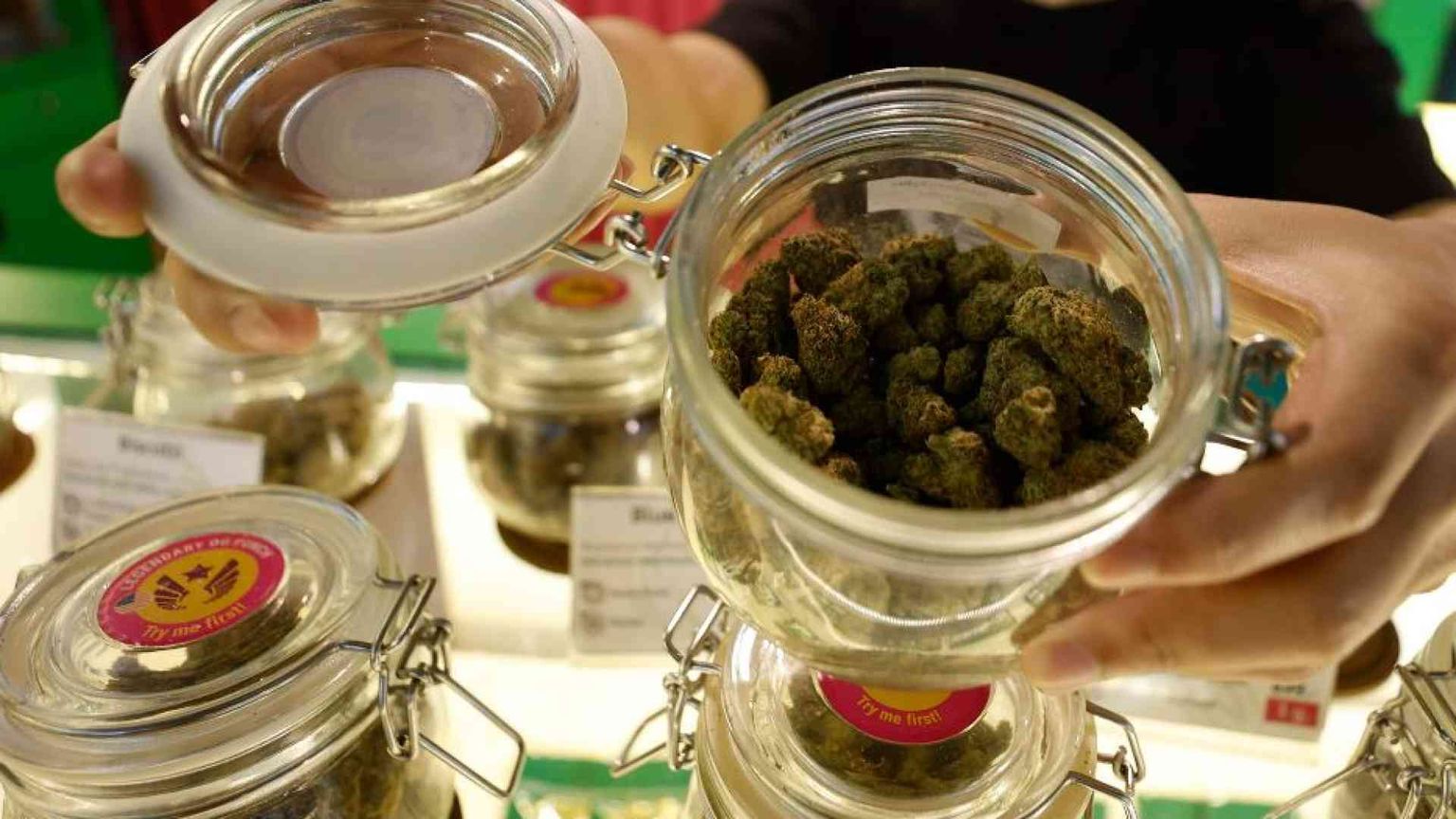 Cannabis e Cbd: il Tar del Lazio complica le cose. Ma chi pensa alla salute?