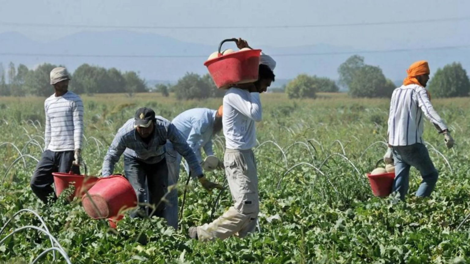 Investe due braccianti stranieri nelle campagne foggiane e fugge, uno muore