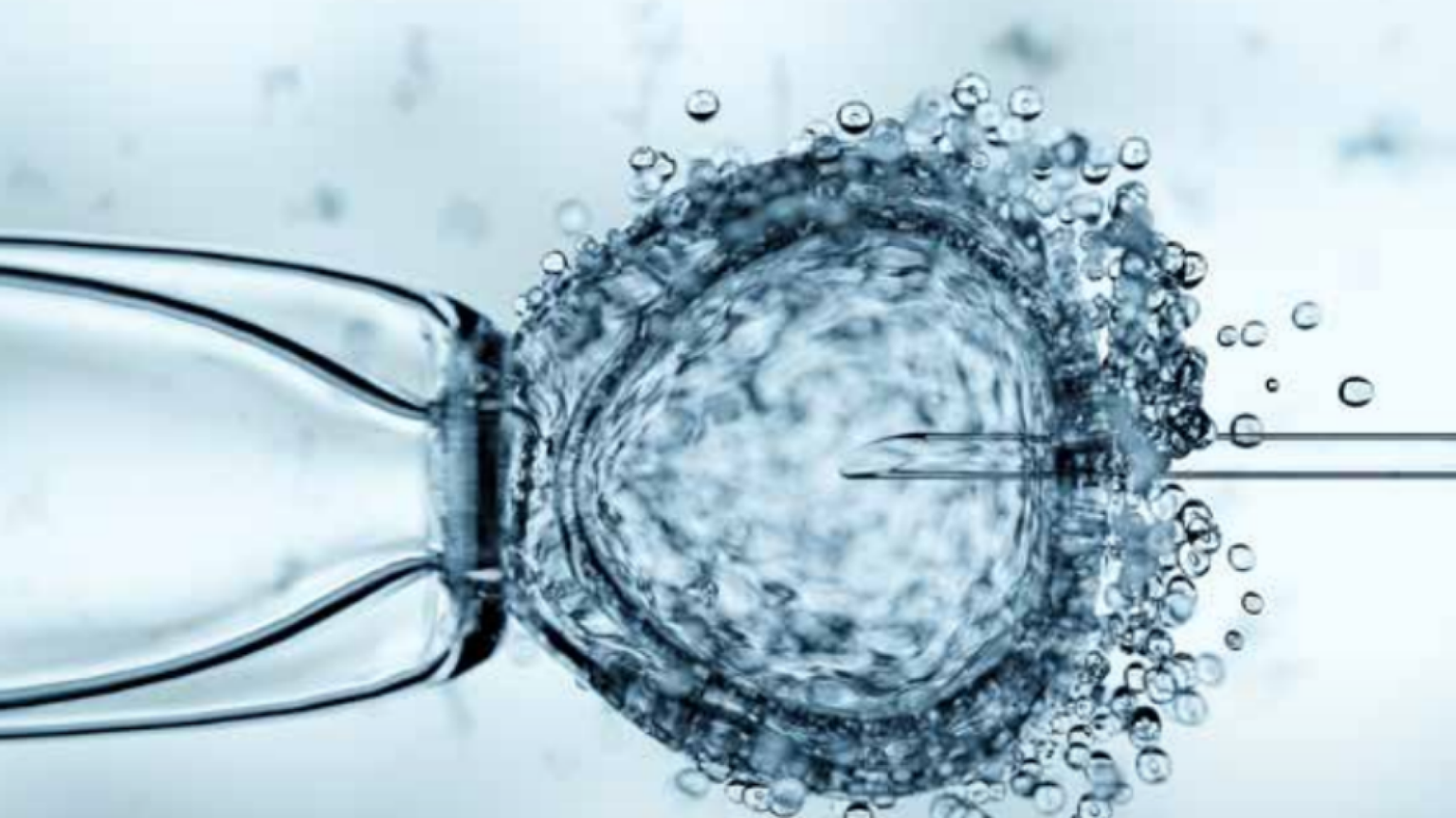 Procreazione artificiale: la vita si dona o si "possiede"?