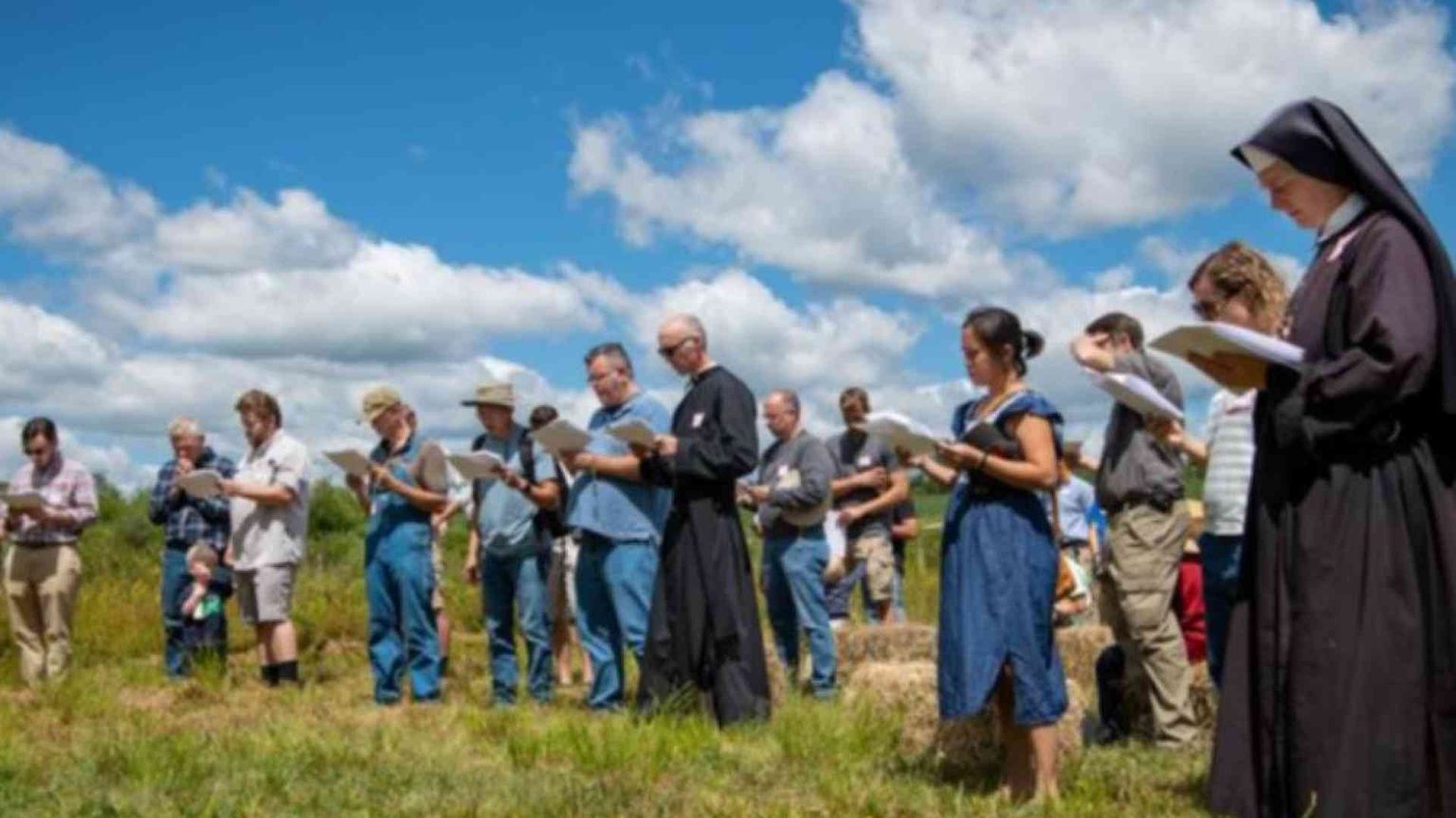Dio, campagna e famiglia: nascono le fattorie all'insegna dell'ora et labora
