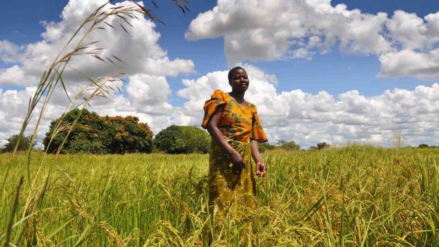 G7 agricoltura, investimenti e diplomazia: l'Africa tra clima e speculazione