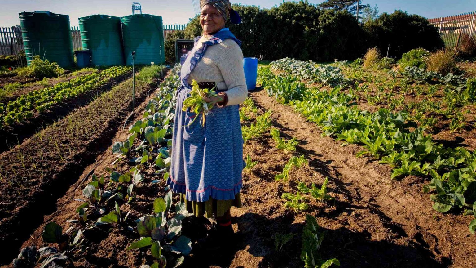 «Partner su colture e finanziamenti»: l’Africa chiede al G7 un futuro di equità