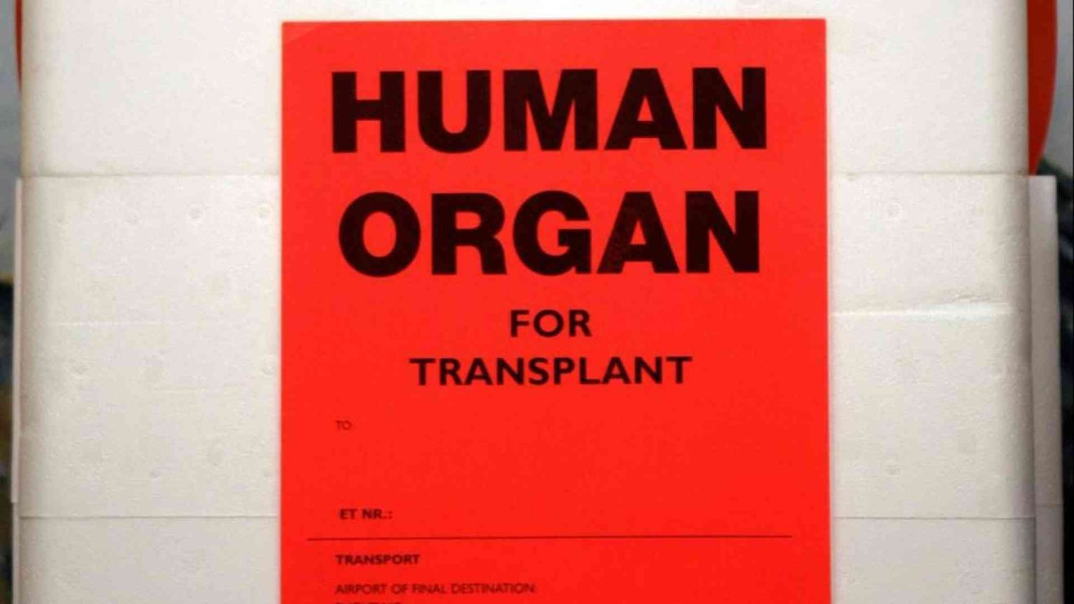 Trent'anni dopo, il dono di Nicholas Green dà ancora frutto