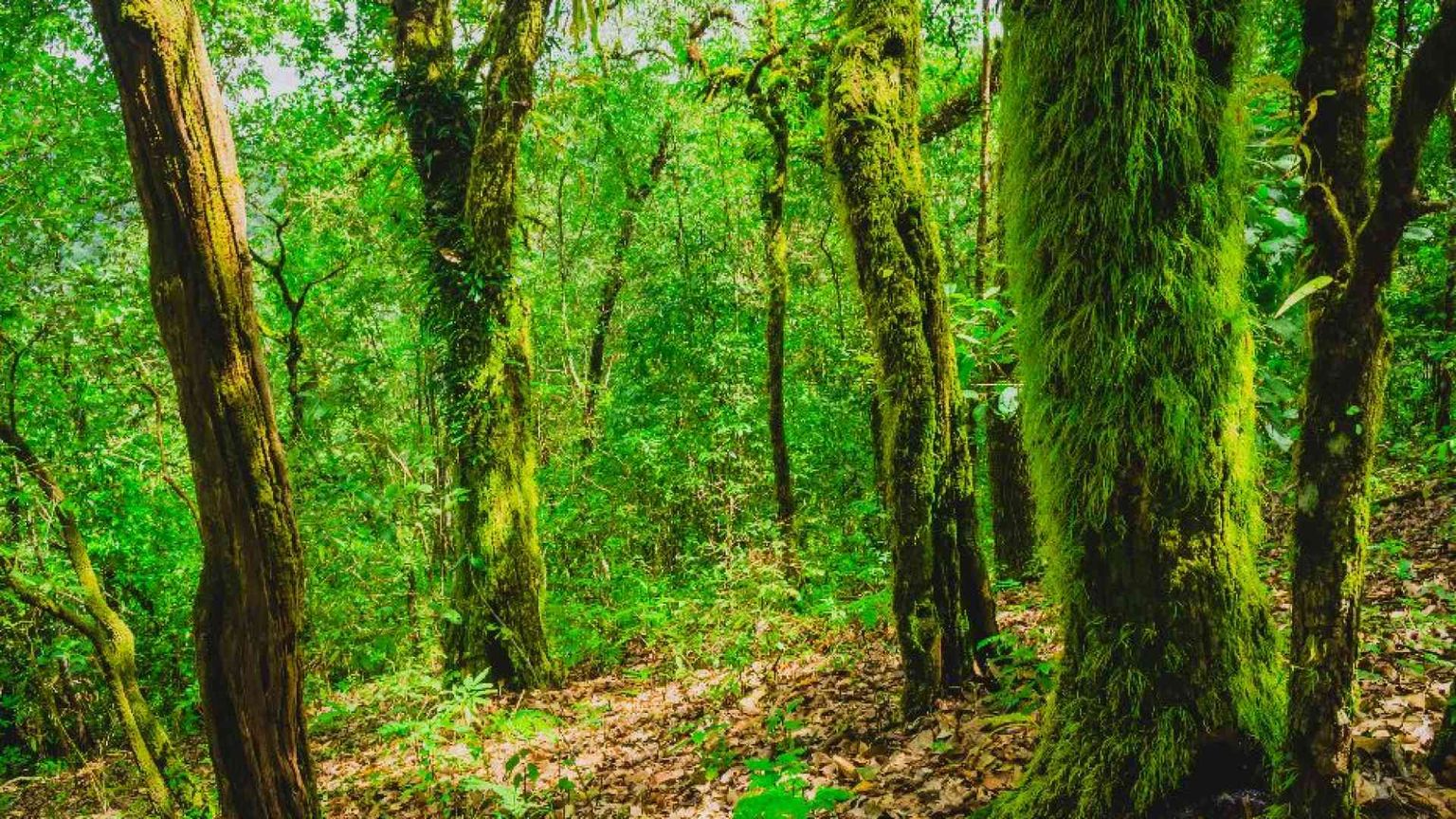 La preghiera: tutta la natura dice "Padre Nostro"