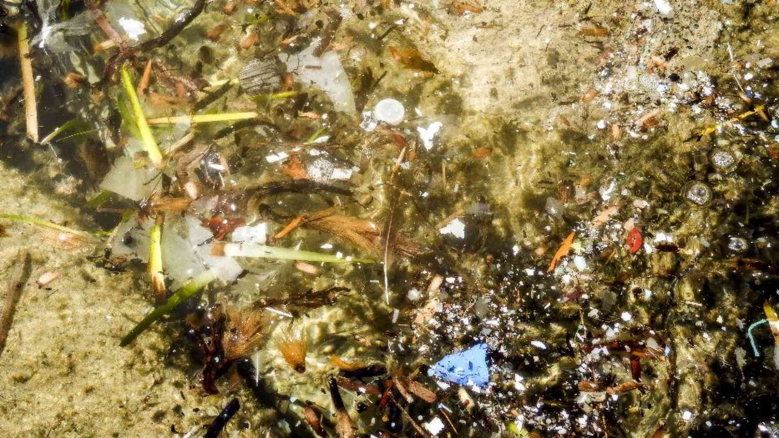 «Inquinanti e leucemie, serve più prevenzione»