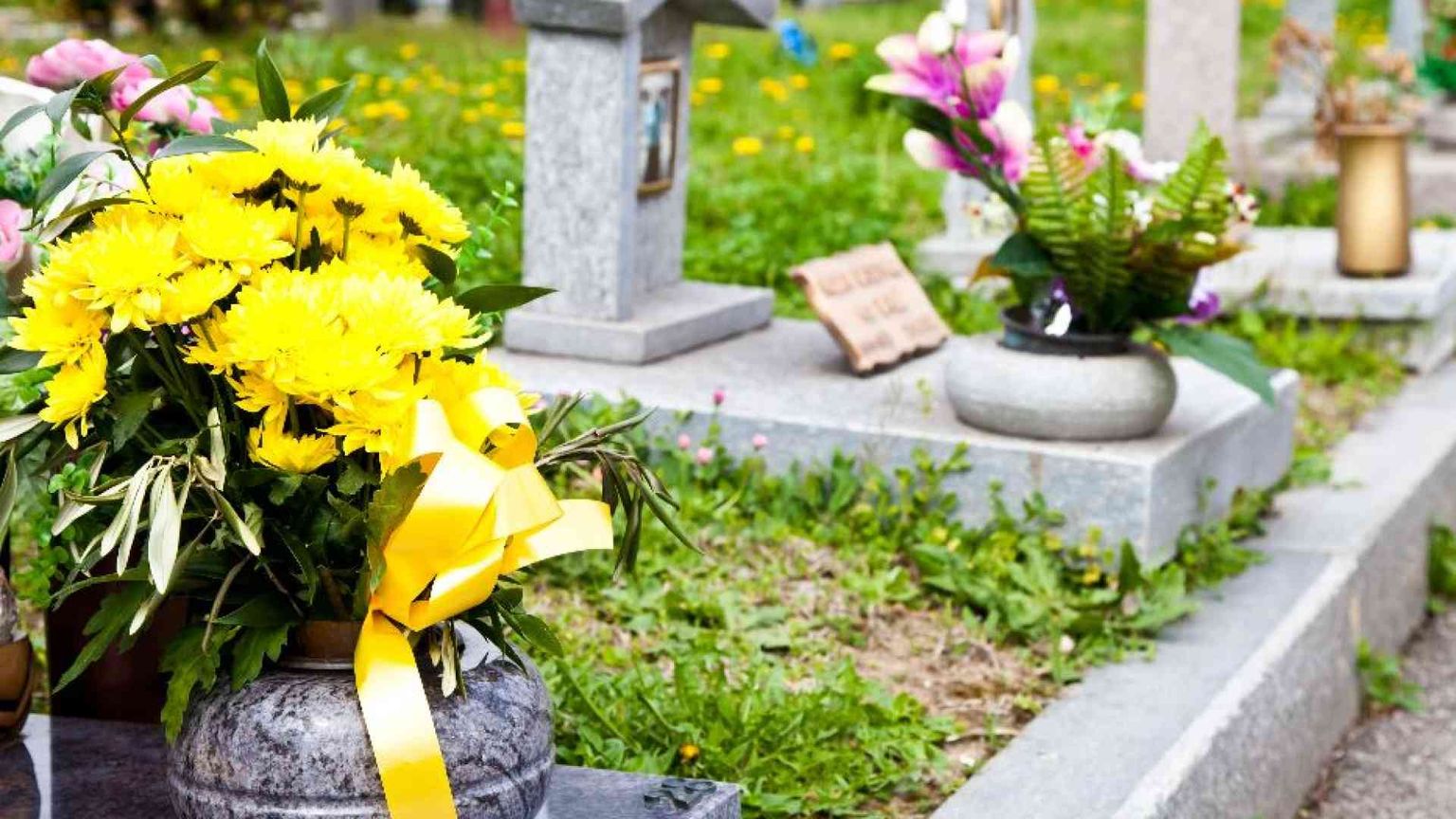 Il Disegno buono che abbraccia la santità e la morte