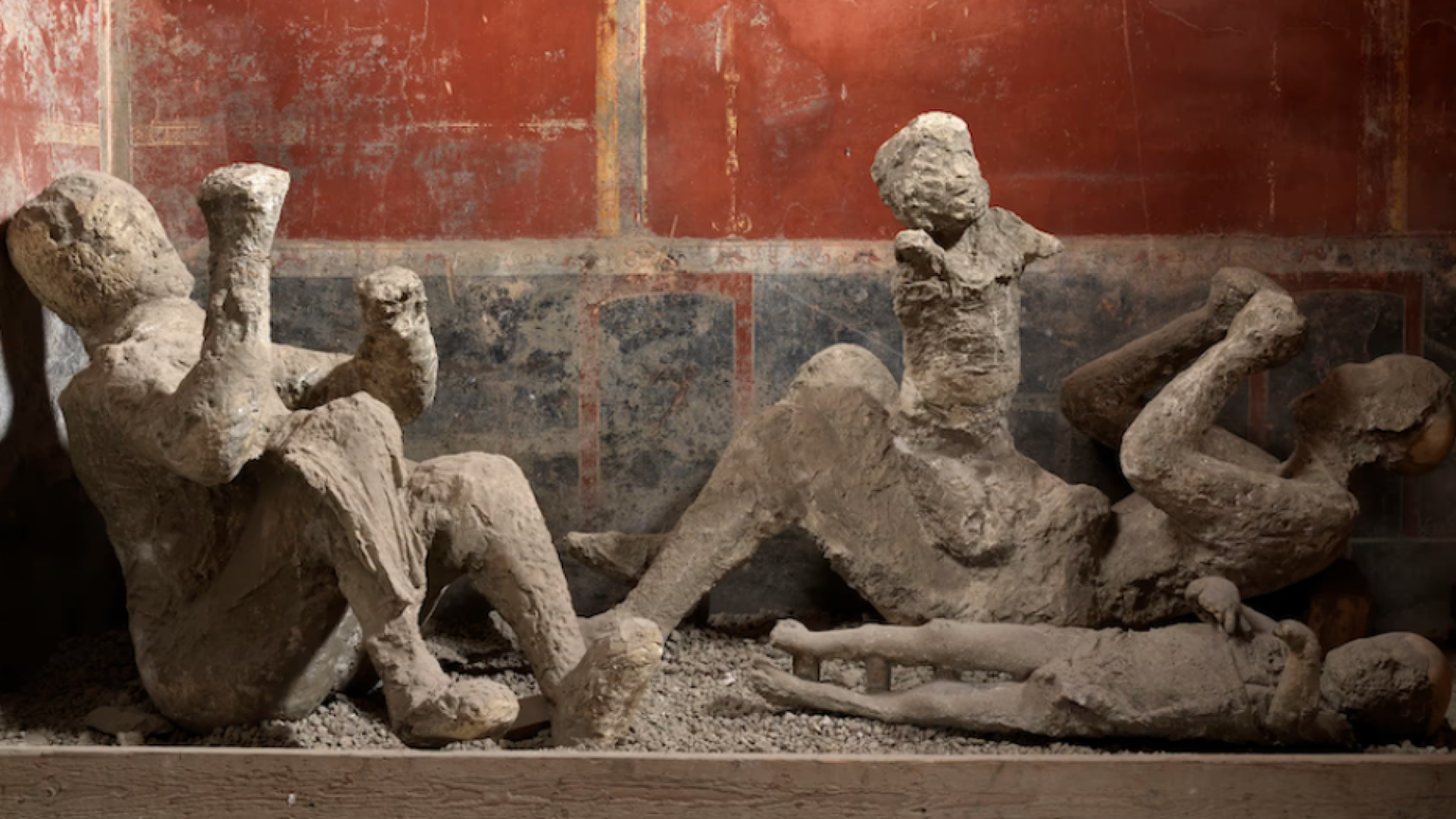 Lo studio del Dna rivela chi erano le vittime dell'eruzione del Vesuvio