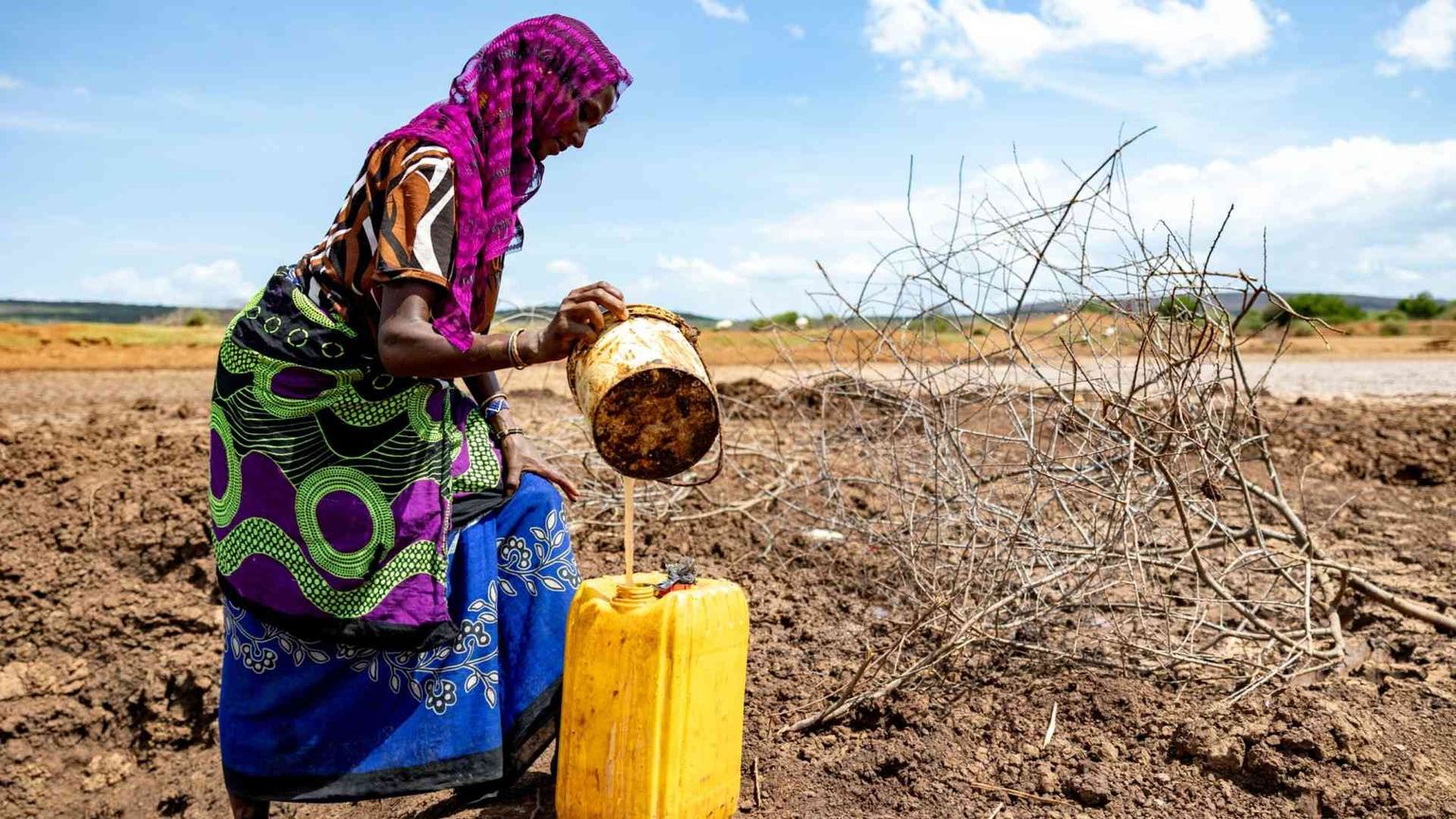 Fame in crescita con clima e guerre: ne soffre 1 persona su 11