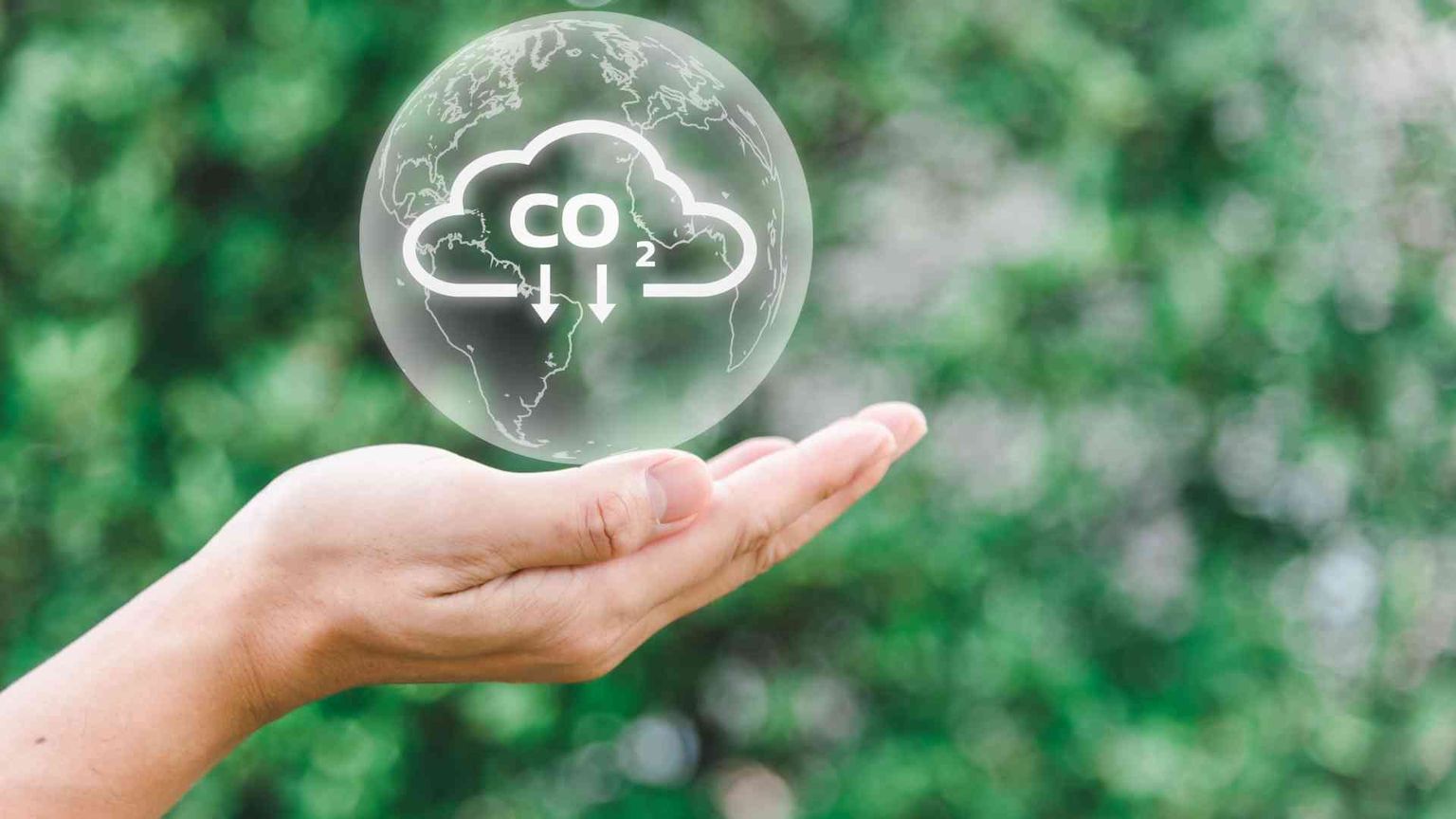 Per Trump il cambiamento climatico è «una bufala»: Cop29 a rischio