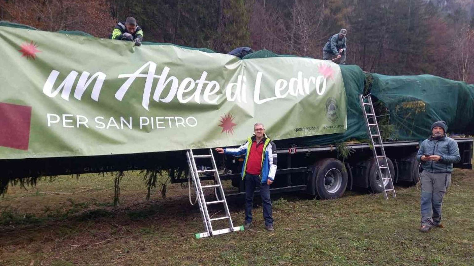 La vera storia dell'abete di Natale per piazza San Pietro