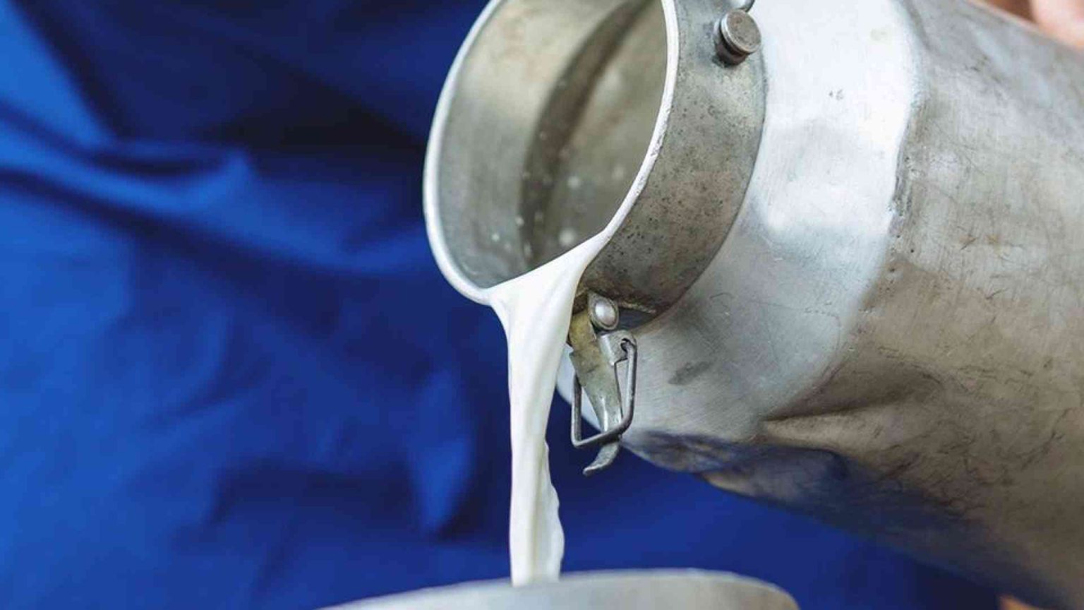 «Politiche su misura per la filiera del latte»