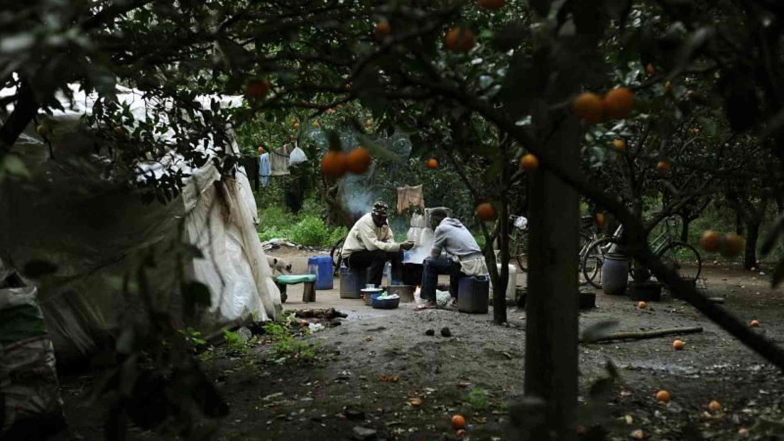 «La ribellione dei braccianti? Sindacato e politica agiscano»