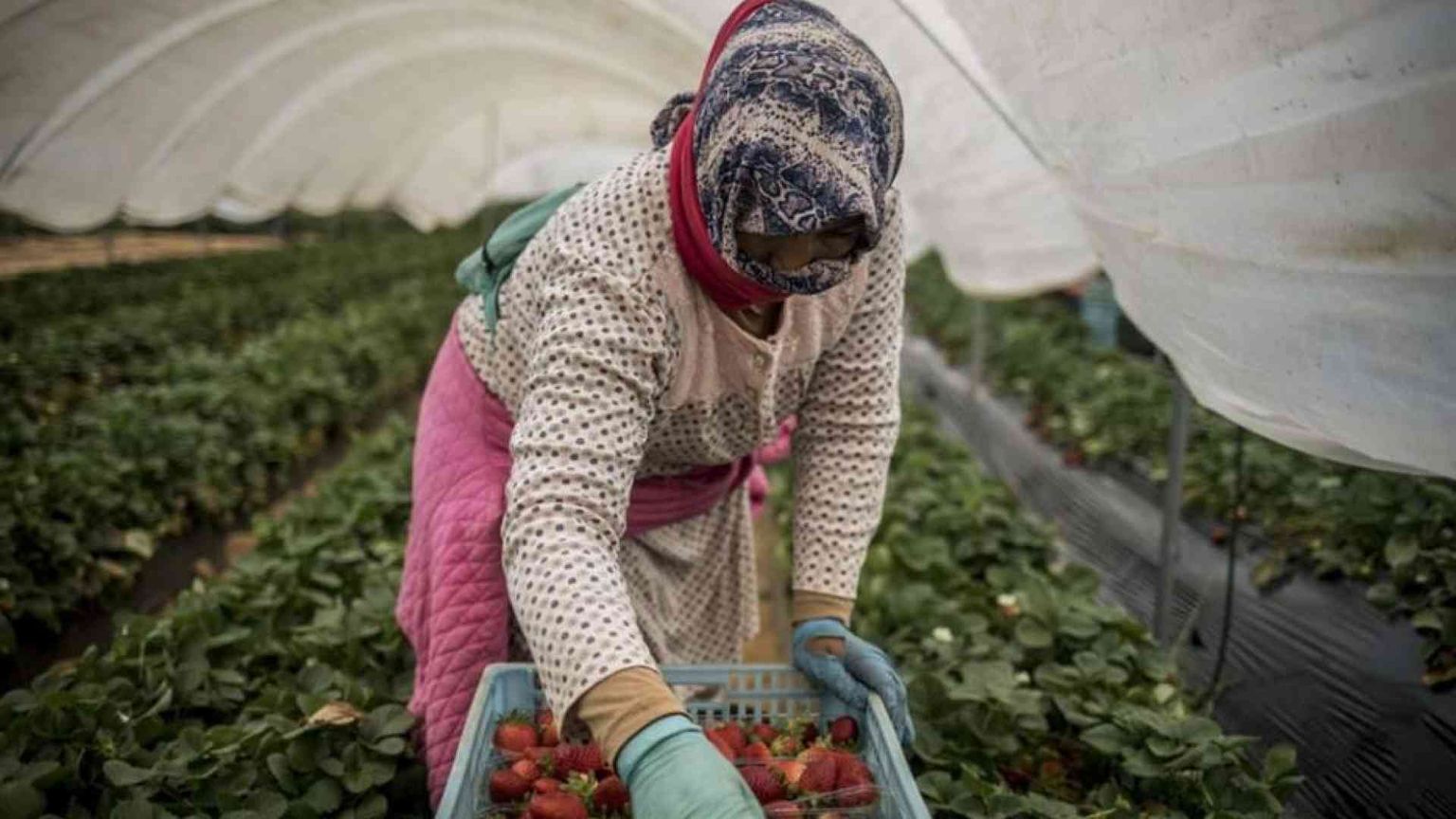 Il decreto flussi è legge: stretta sui ricongiungimenti e sui cellulari