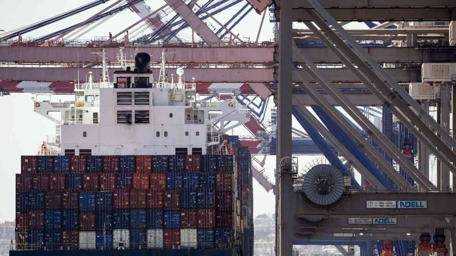 Sequestrato a La Spezia un container di scatolette di tonno