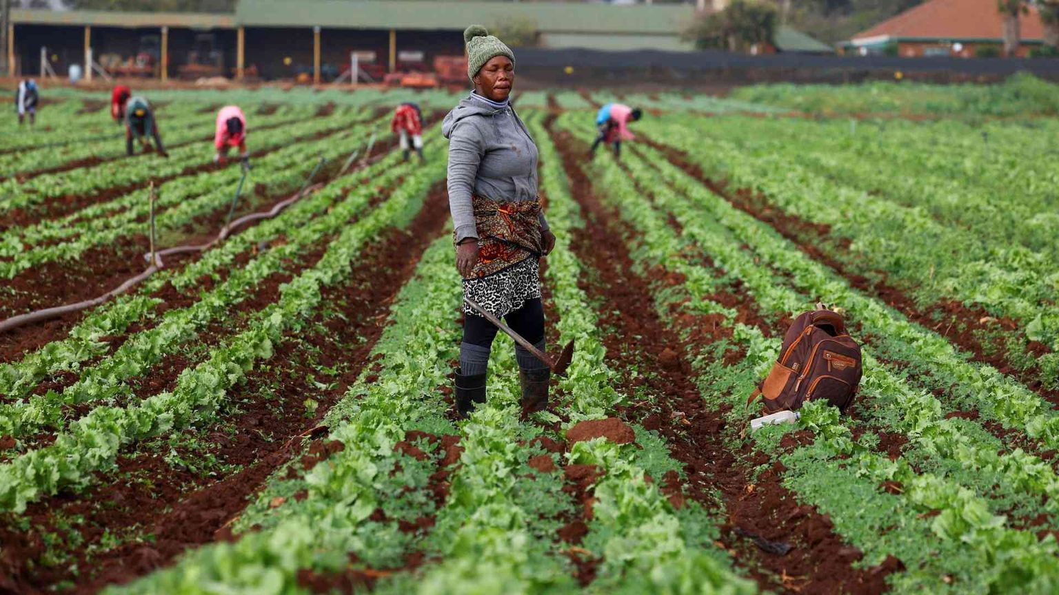 Clima e debito, perché ci conviene pagare per il Sud del mondo