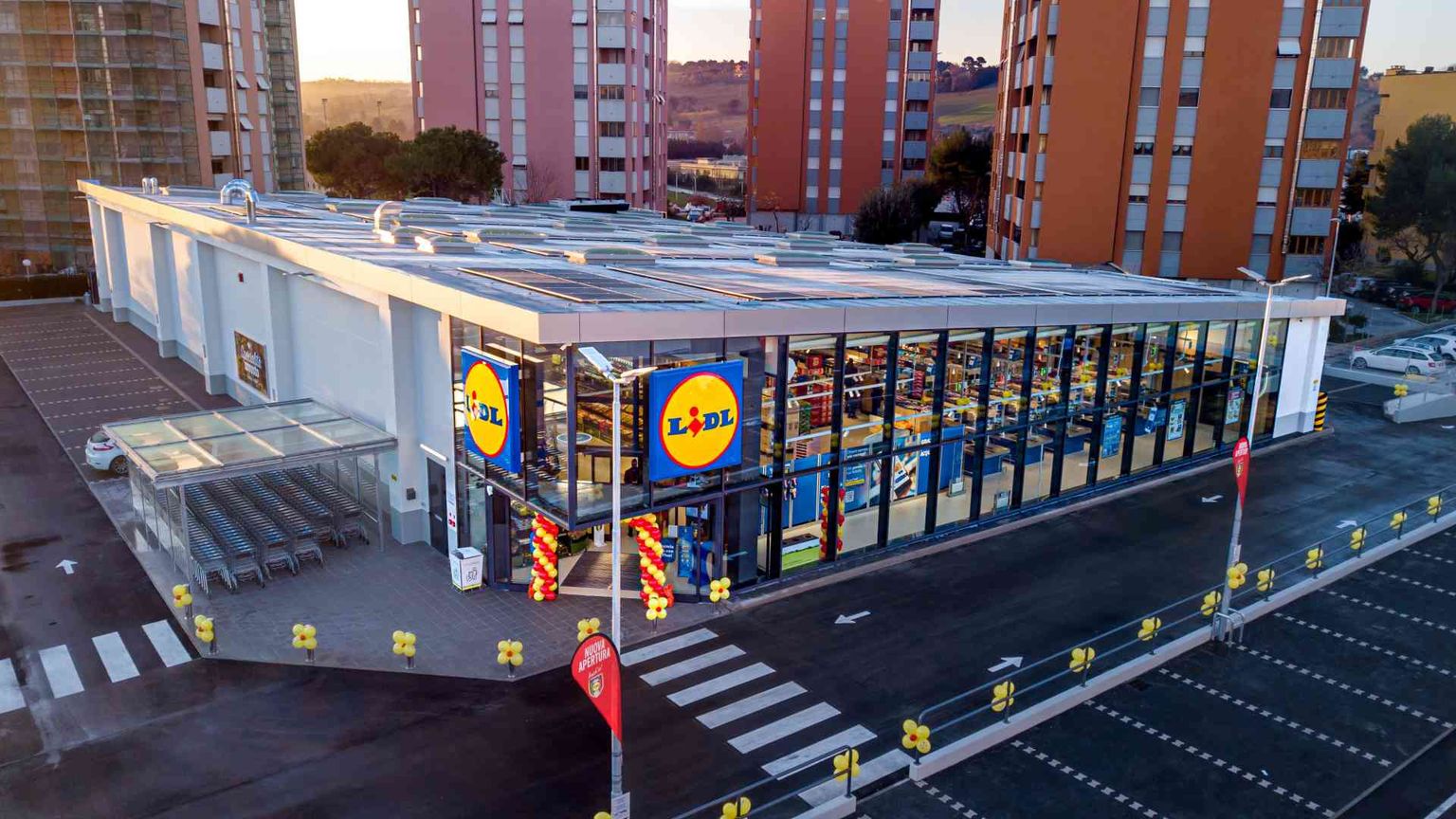 Lidl ricerca 100 persone in Friuli Venezia Giulia