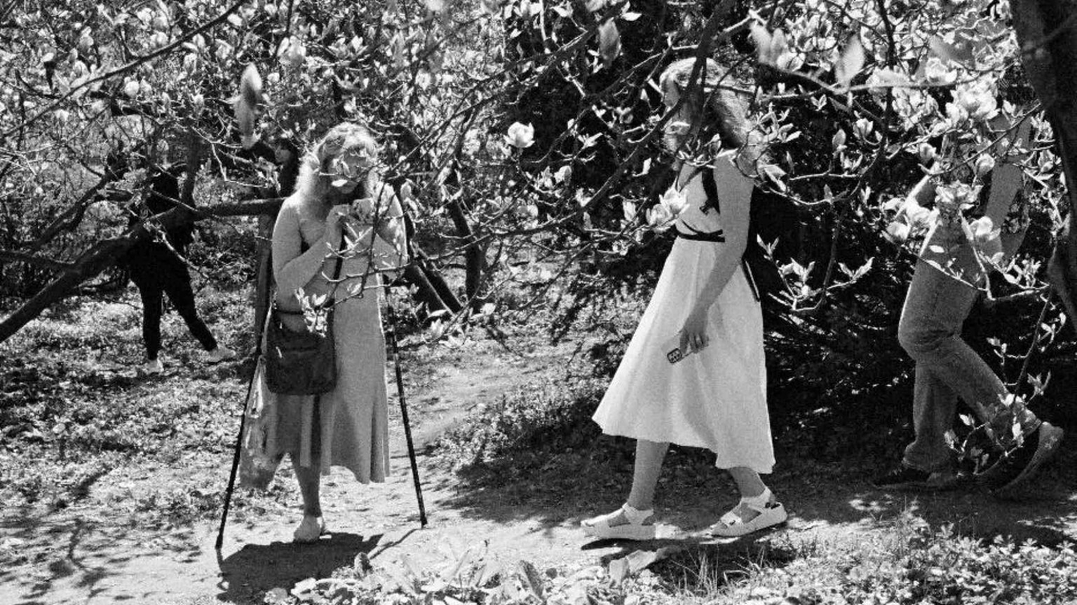 Come pregare per il nemico, se il perdono non è virtù umana?