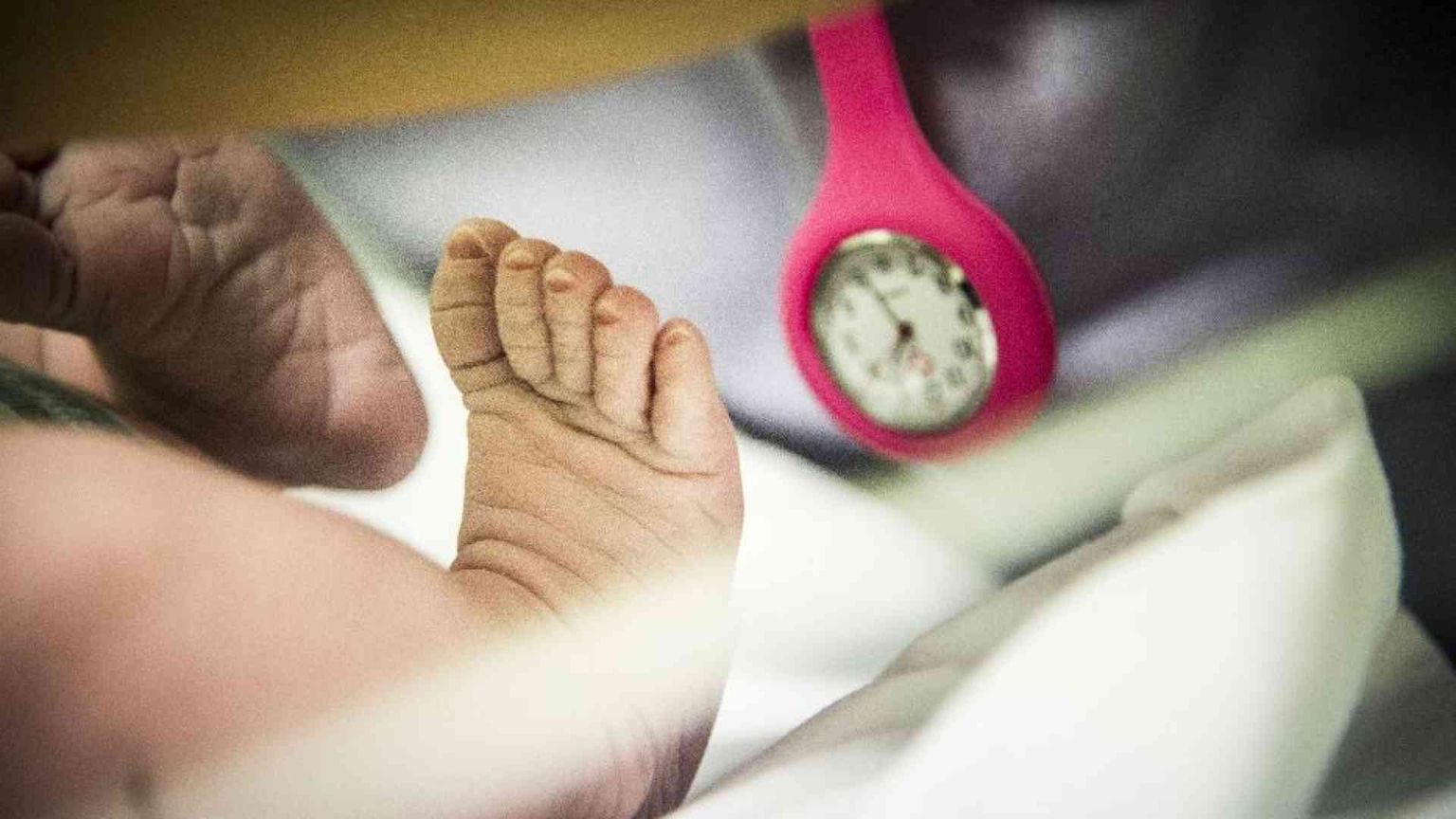 La speranza ci guida, è tempo per generare
